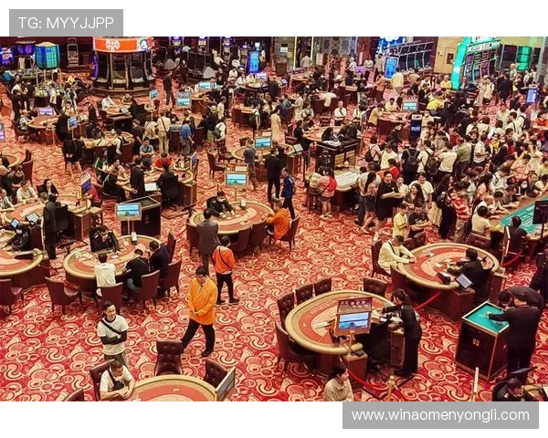 304永利集团唯一正规渠道，提供多样化的线上博彩娱乐选择与专业支持