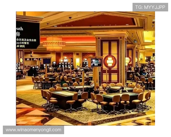 澳门最大的赌场排名前十名,豪华设施与娱乐体验全面解析