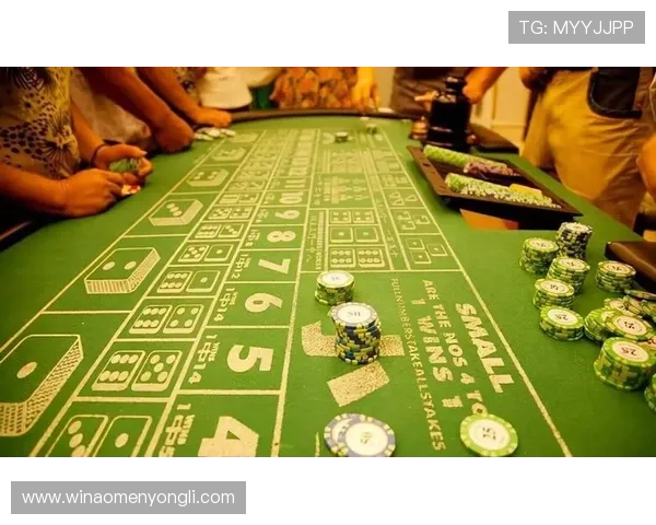 澳门新濠天地赌场攻略详解让你轻松掌握赢钱技巧与安全保障