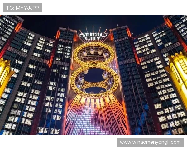 澳门新濠影汇赌场攻略全指南，掌握赢钱技巧提升您的博彩胜率