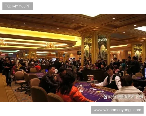 澳门最受欢迎的赌厅排名全攻略，了解排名背后的特色与优势