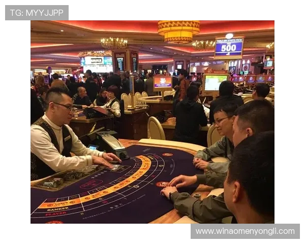 澳门的赌场有几家最新统计数据及其分布情况全面解析