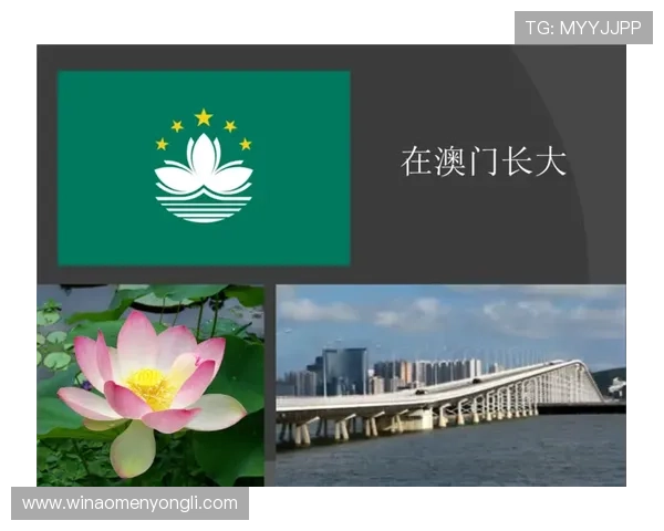 澳门赌场年龄分布情况分析及其对行业发展的影响探讨